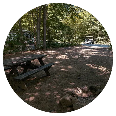 Seasonal Sites